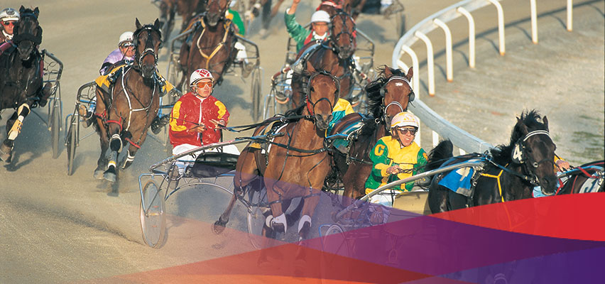 Harness Racing Preview
